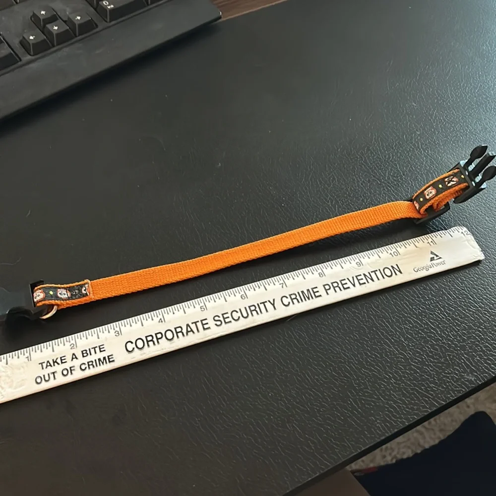 🔥3 for $10🔥Halloween Small dog/cat collar - like new